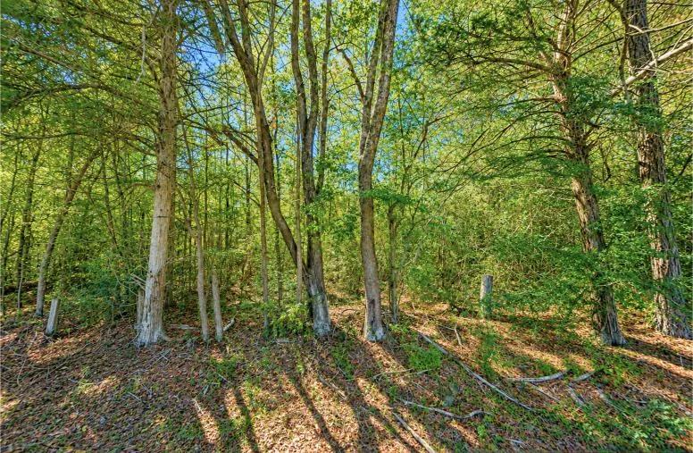 0.14-Acre Homesite in Laurel, MS - Image 4