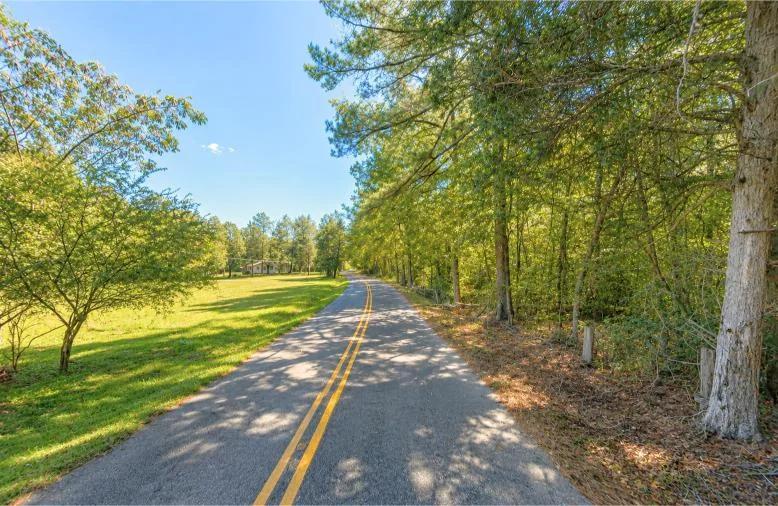 Decorative background for 0.14-Acre Homesite in Laurel, MS image 5