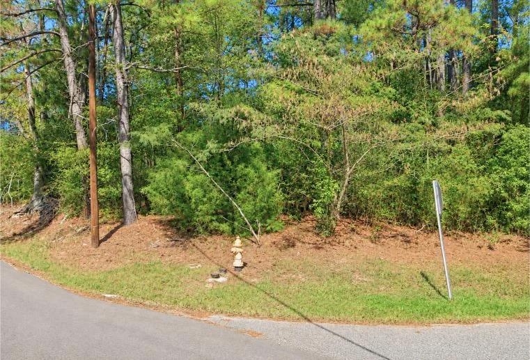 Decorative background for 0.14-Acre Homesite in Laurel, MS image 6