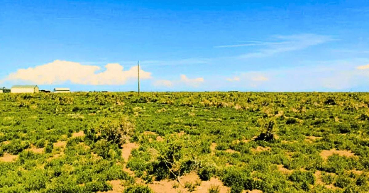 1.25 Acres Beautiful Land to Build - Image 3