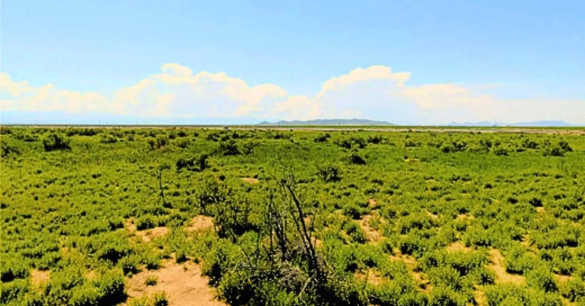 Decorative background for 1.25 Acres Beautiful Land to Build image 5