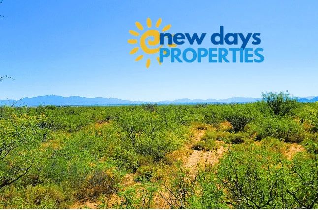 1.25 Acres Beautiful Land to Build in Alamosa County, CO