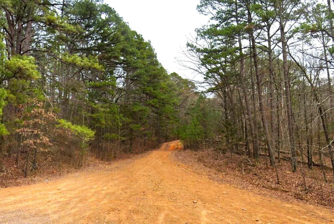 0.47-Acre Land for Sale in Mountain View Arkansas in Van Buren County, AR