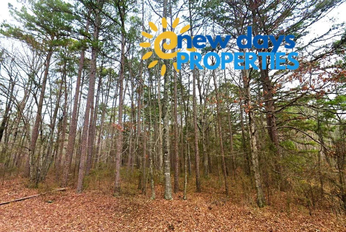 NC Wooded Lots
