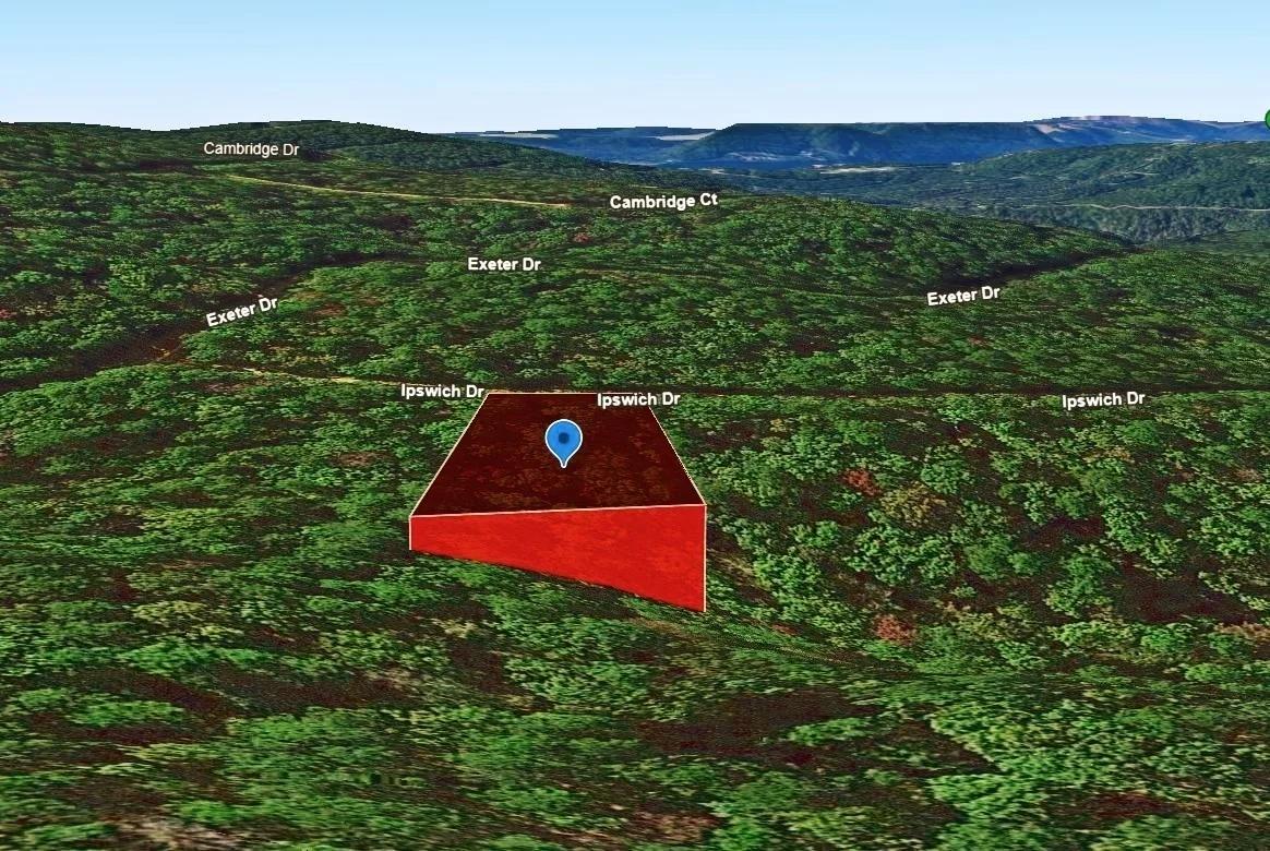 Decorative background for 0.47-Acre Land for Sale in Mountain View Arkansas image 5