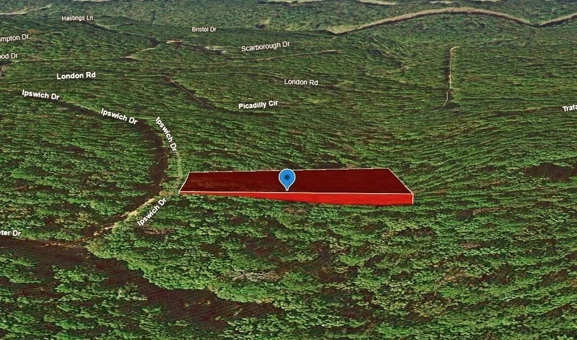 Decorative background for 0.47-Acre Land for Sale in Mountain View Arkansas image 6