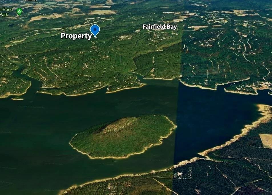 Decorative background for 0.47-Acre Land for Sale in Mountain View Arkansas image 8