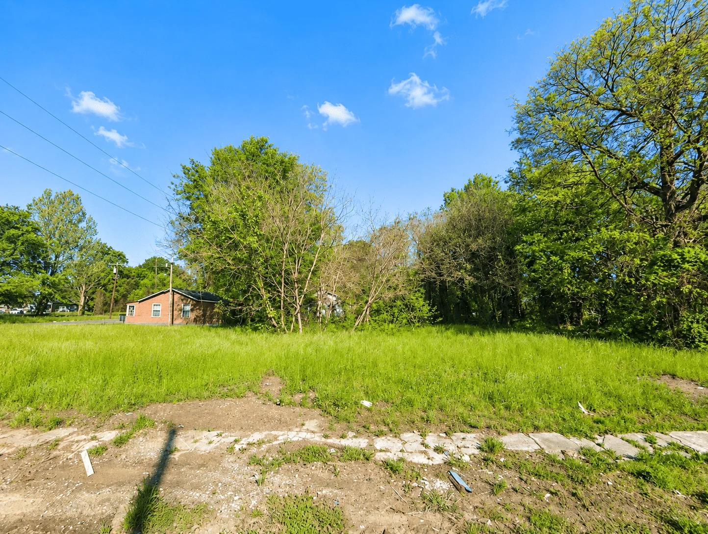 Decorative background for 0.04 Acres Small Residential Lot image 8
