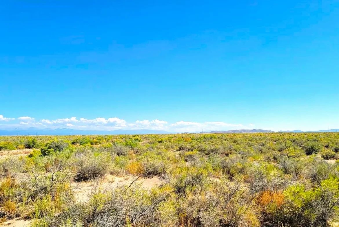 2.58 Acres Land for Sale in Alamosa in Alamosa County, CO