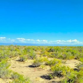 2.58 Acres Land for Sale in Alamosa in Alamosa County, CO
