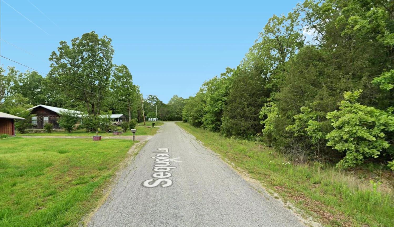 0.88-Acre Lot for Sale in Horseshoe Bend, AR - Image 3