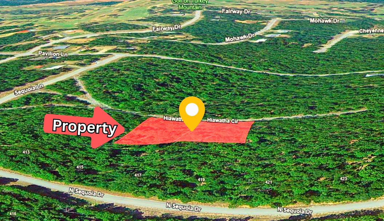 Decorative background for 0.88-Acre Lot for Sale in Horseshoe Bend, AR image 9
