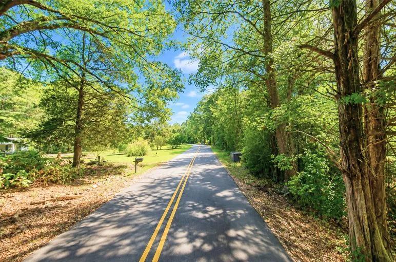 Decorative background for 0.80-Acre Lot in in Mulga, AL image 10