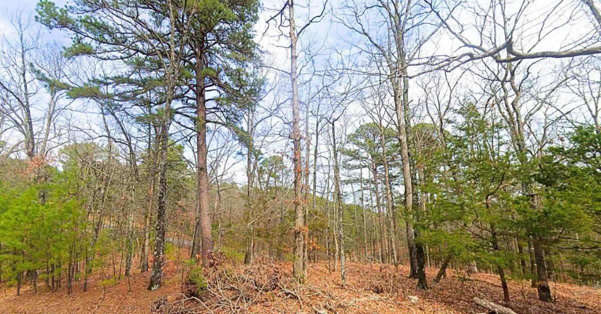 0.23 Acres Mountain and Lake View for Sale Fairfield Bay, AR - Image 2