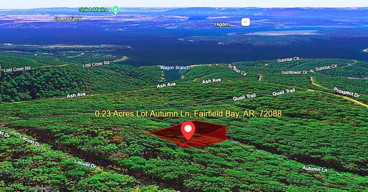 Decorative background for 0.23 Acres Mountain and Lake View for Sale Fairfield Bay, AR image 6