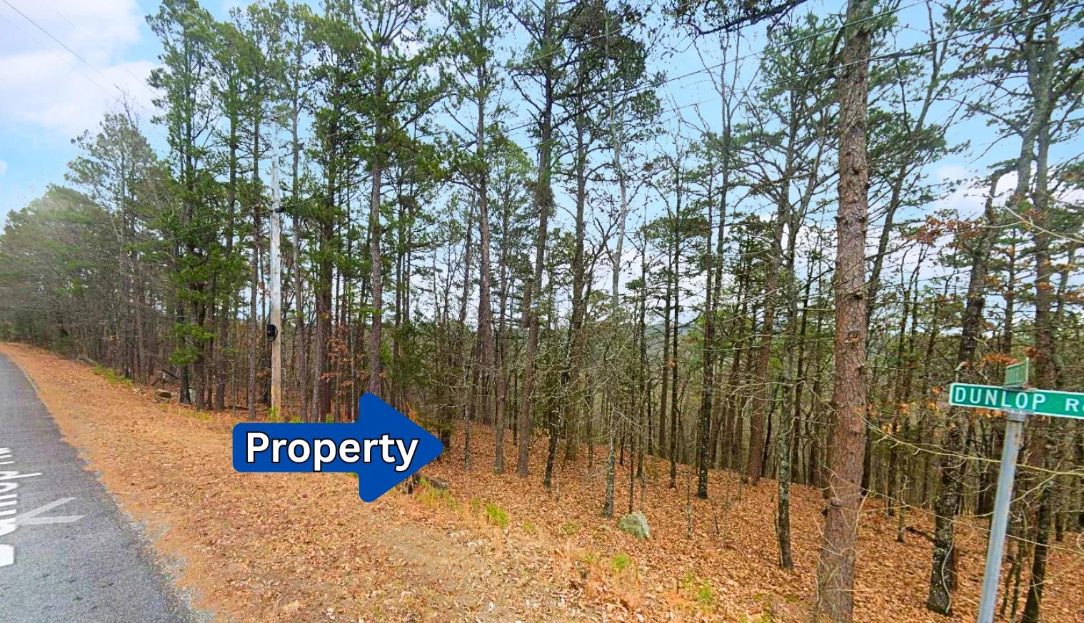0.28-Acre Lot in a Prime Location in Fairfield Bay, AR - Image 4