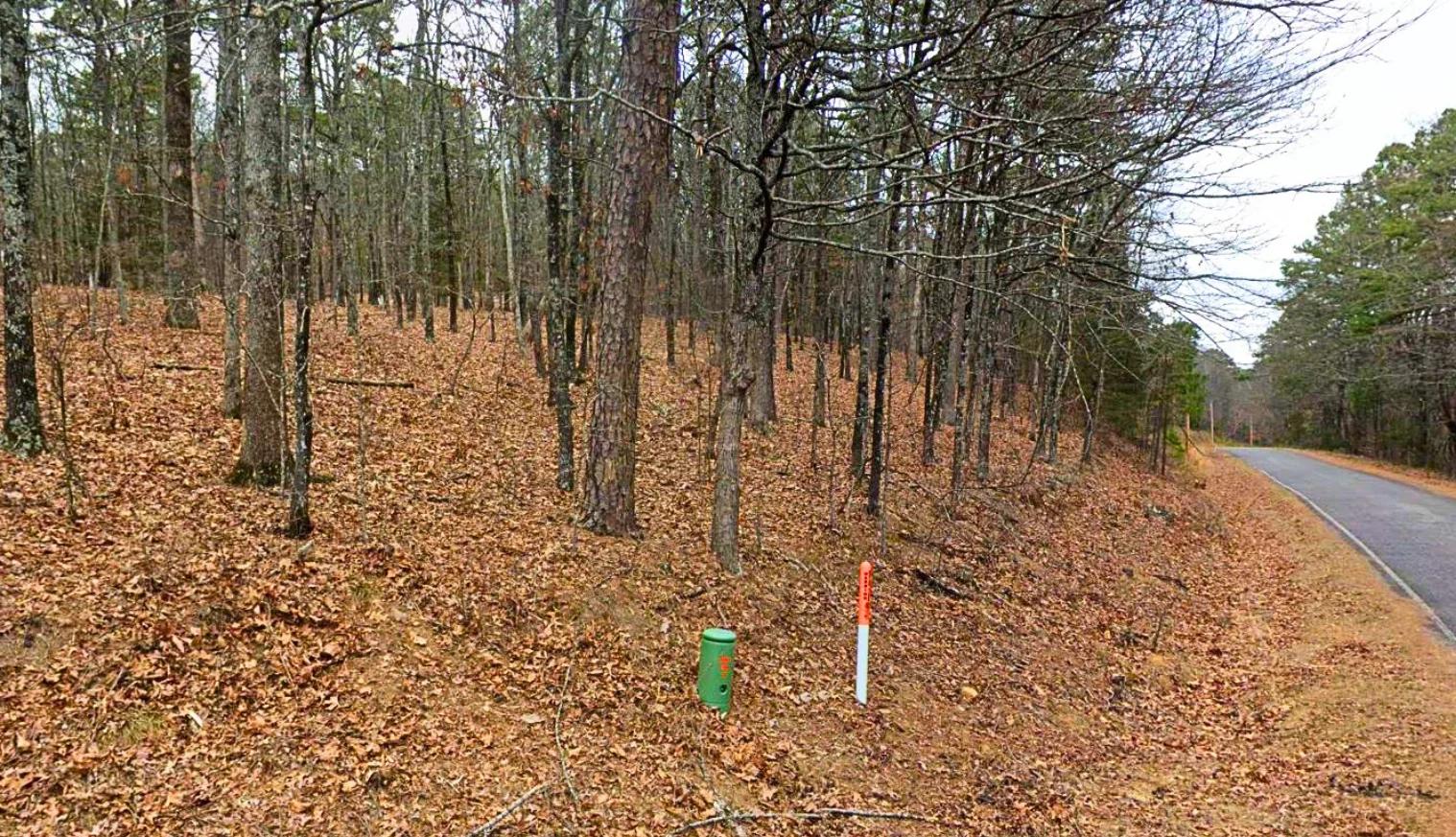 Decorative background for 0.28-Acre Lot in a Prime Location in Fairfield Bay, AR image 5