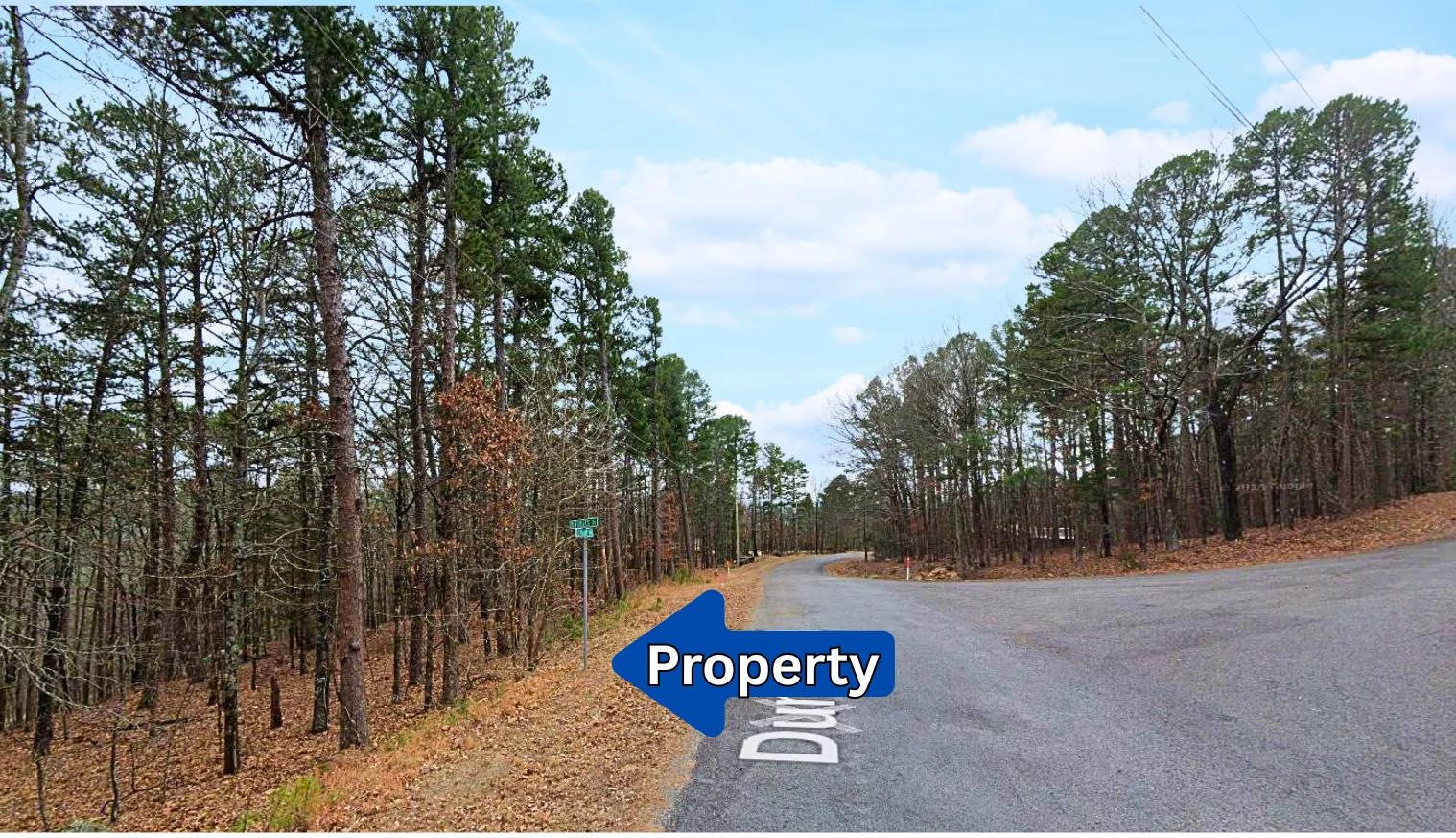 Decorative background for 0.28-Acre Lot in a Prime Location in Fairfield Bay, AR image 6