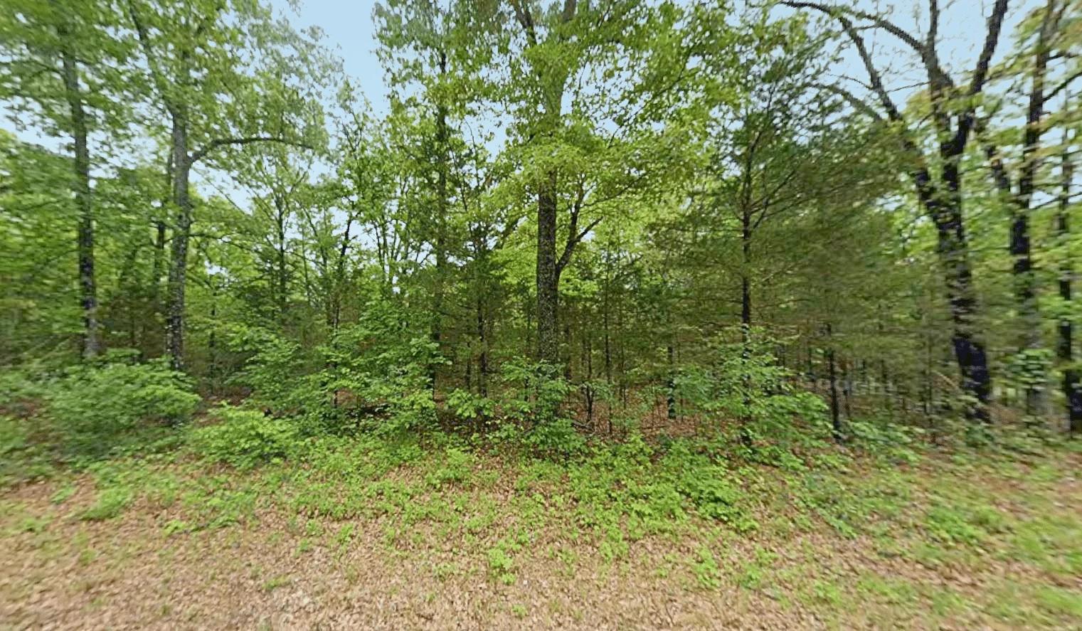 0.47 Acre Near Crown Lake – Horseshoe Bend, AR! - Image 2