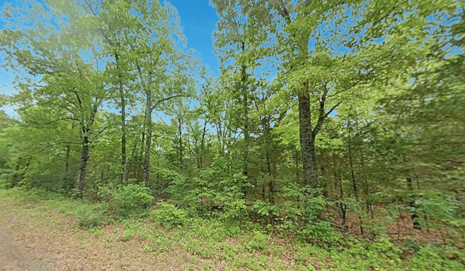 Decorative background for 0.47 Acre Near Crown Lake – Horseshoe Bend, AR! image 6