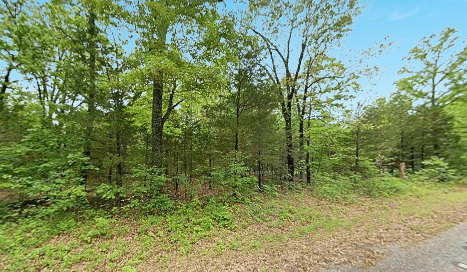 Decorative background for 0.47 Acre Near Crown Lake – Horseshoe Bend, AR! image 7