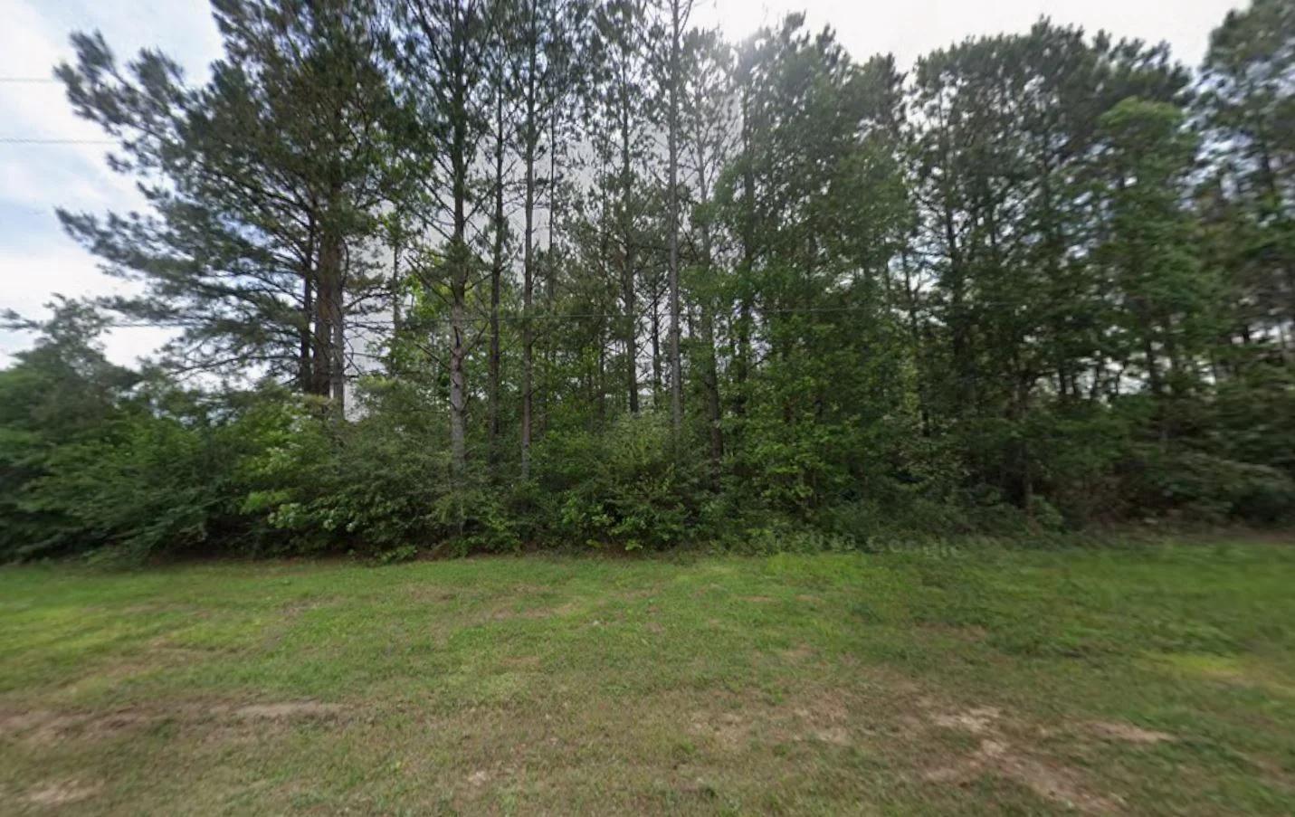 0.26-Acre Lot Near Happiness Lake! - Image 2