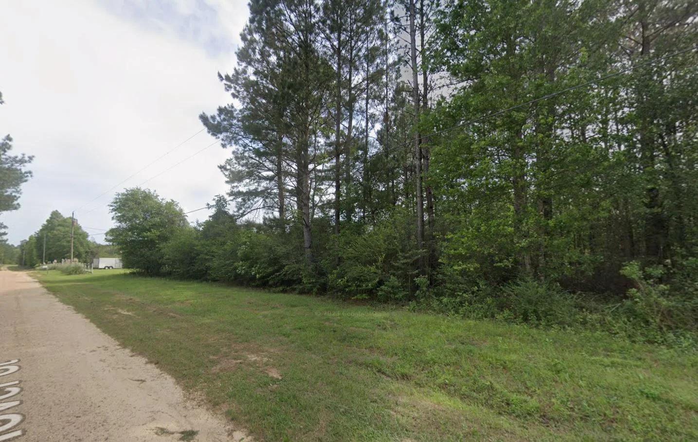 0.26-Acre Lot Near Happiness Lake! - Image 3