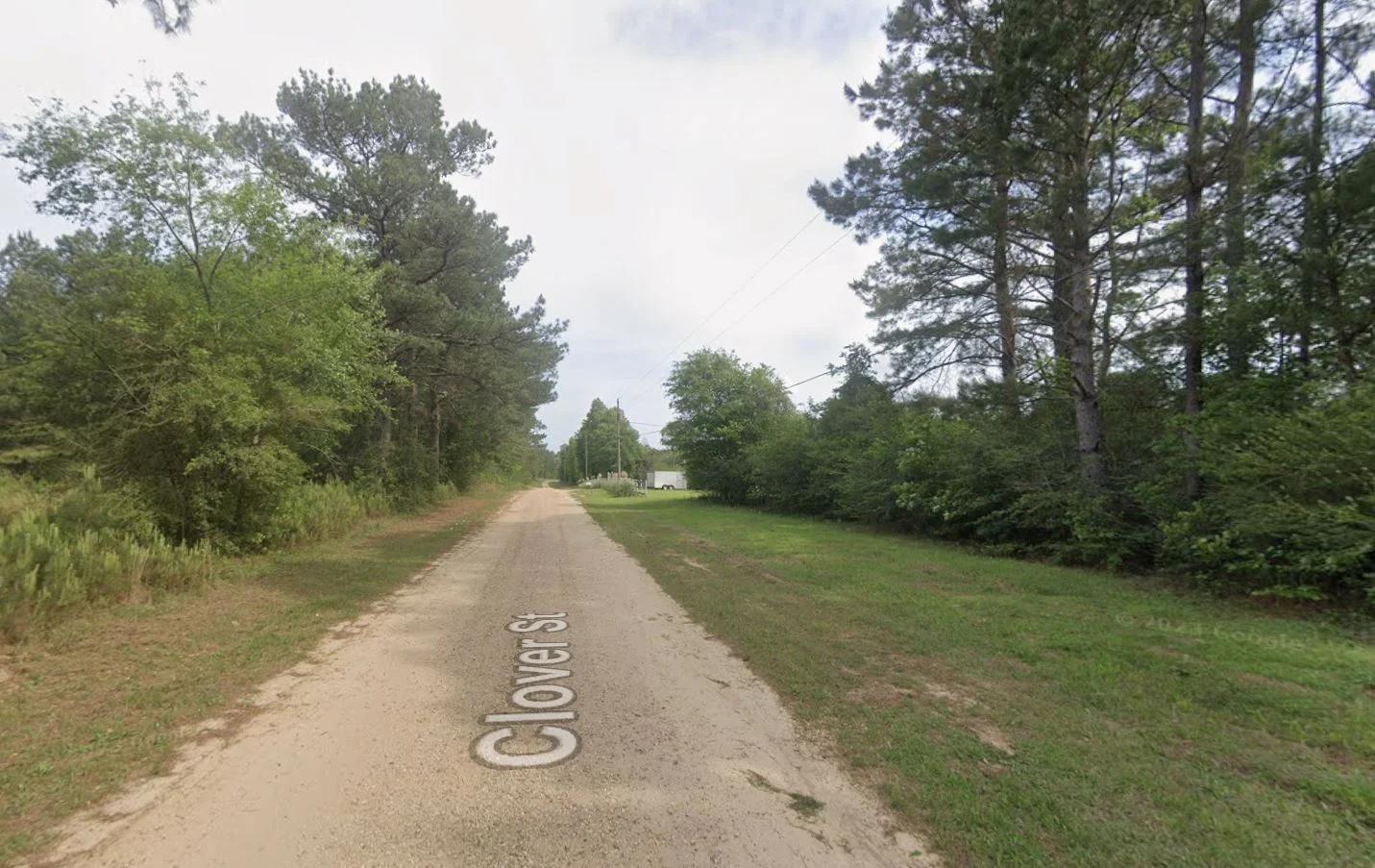 0.26-Acre Lot Near Happiness Lake! - Image 4