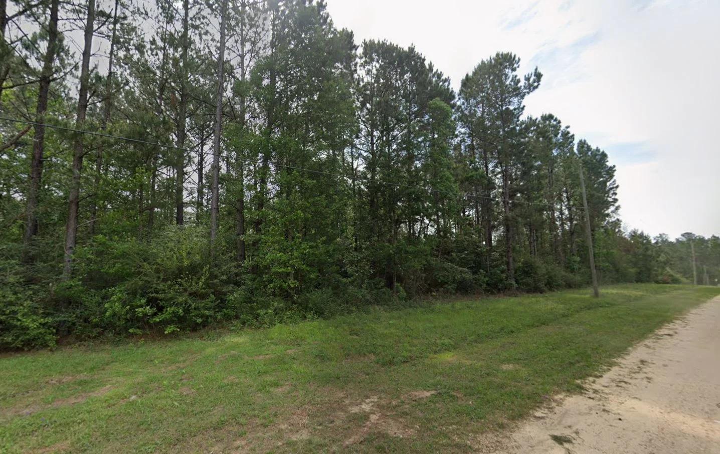 Decorative background for 0.26-Acre Lot Near Happiness Lake! image 5