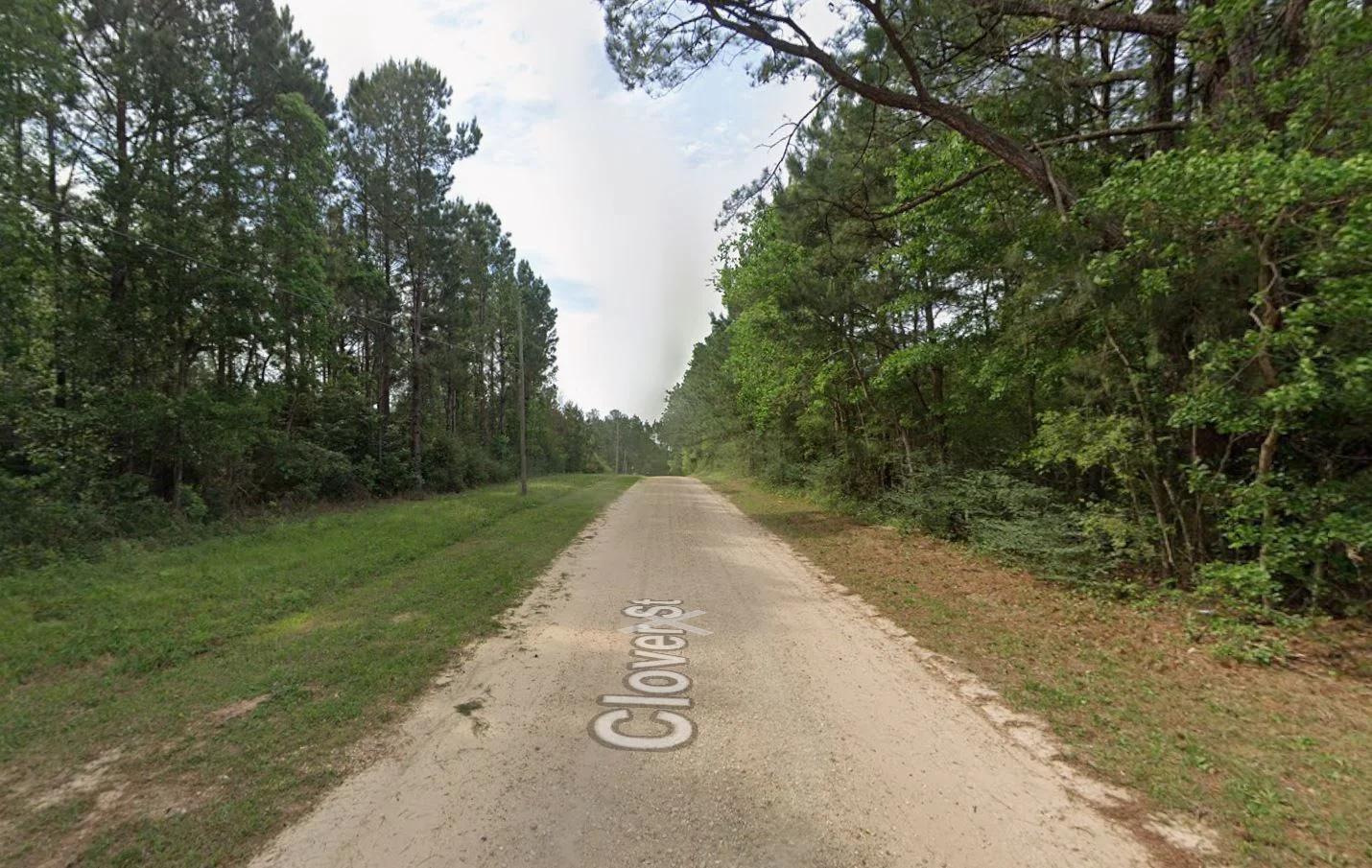 Decorative background for 0.26-Acre Lot Near Happiness Lake! image 6