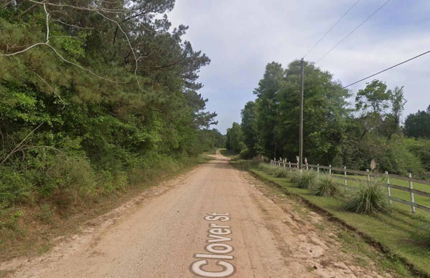 Decorative background for 0.26-Acre Lot Near Happiness Lake! image 7