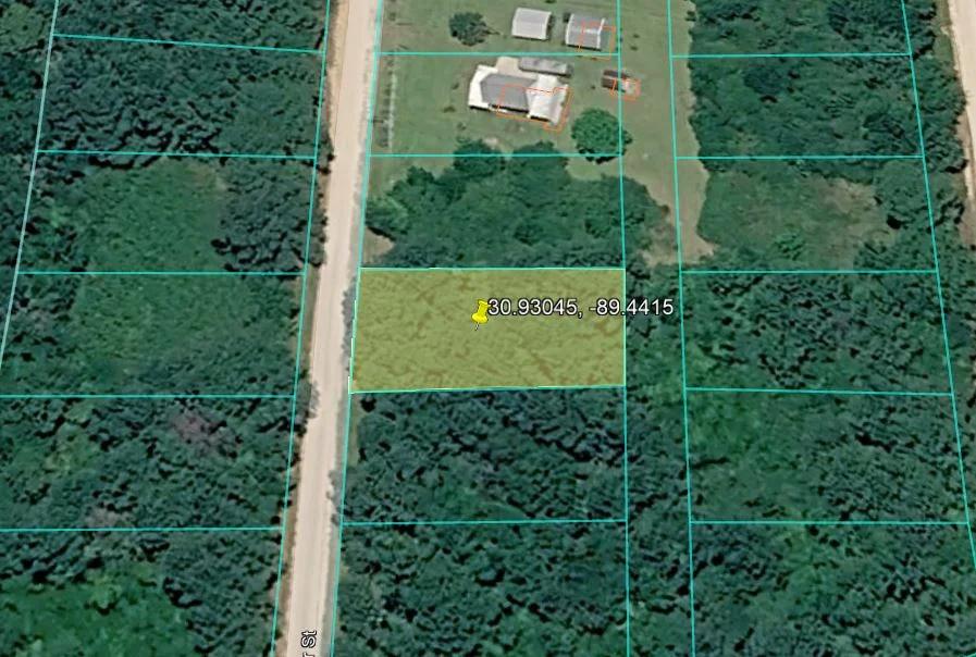 Decorative background for 0.26-Acre Lot Near Happiness Lake! image 9