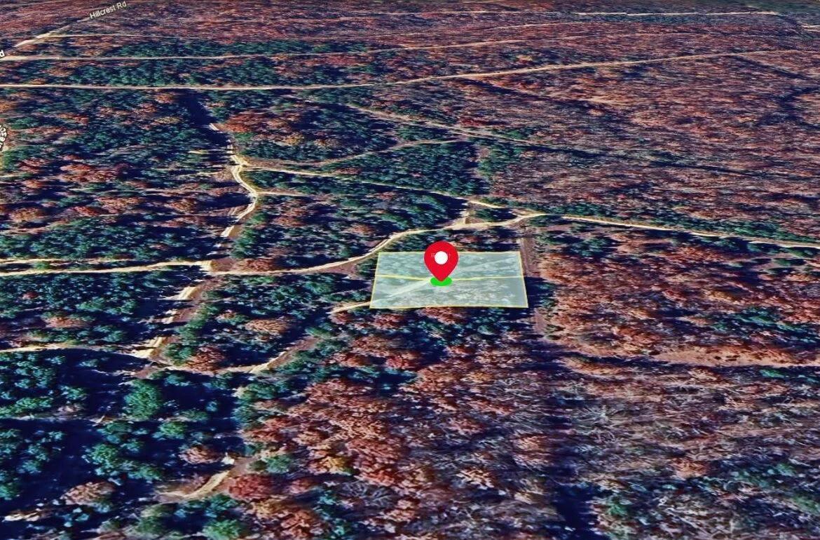 Decorative background for Prime Double lot Land for Sale in Arkansas image 10