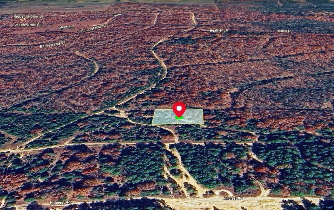 Decorative background for Prime Double lot Land for Sale in Arkansas image 11