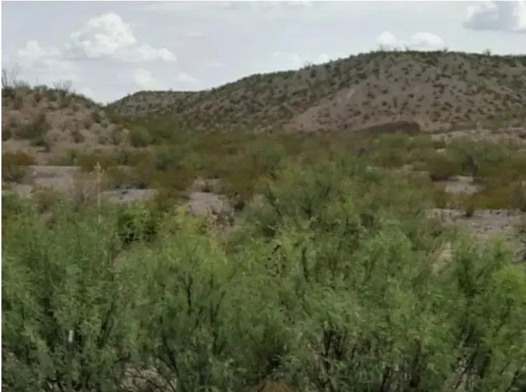 28.75 Acres of Unrestricted Land in Presidio, Texas - Image 2