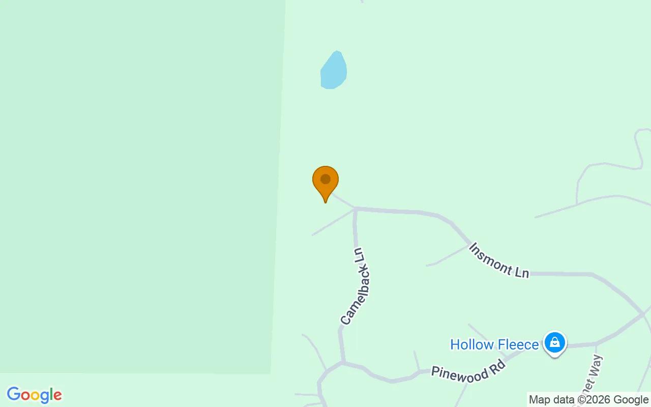 0.56 Acres in Florissant - Teller County, CO - Image 2