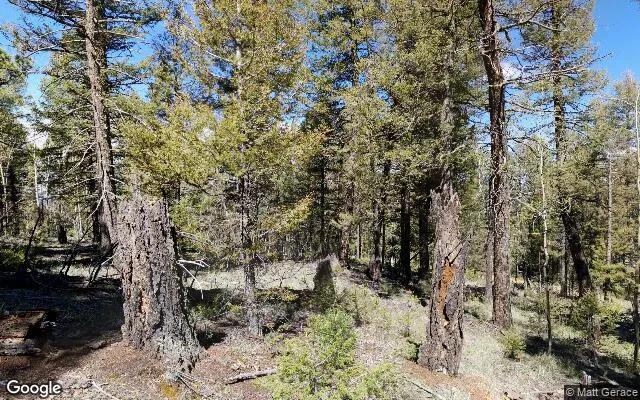 0.56 Acres in Florissant - Teller County, CO - Image 4