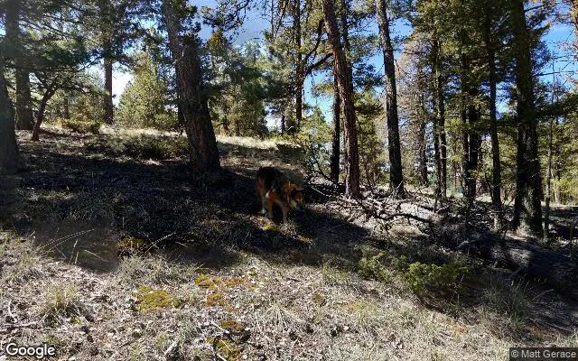 Decorative background for 0.56 Acres in Florissant - Teller County, CO image 5
