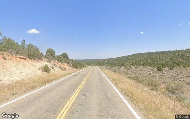 Decorative background for 35 Acres in Egnar - San Miguel County, CO image 5