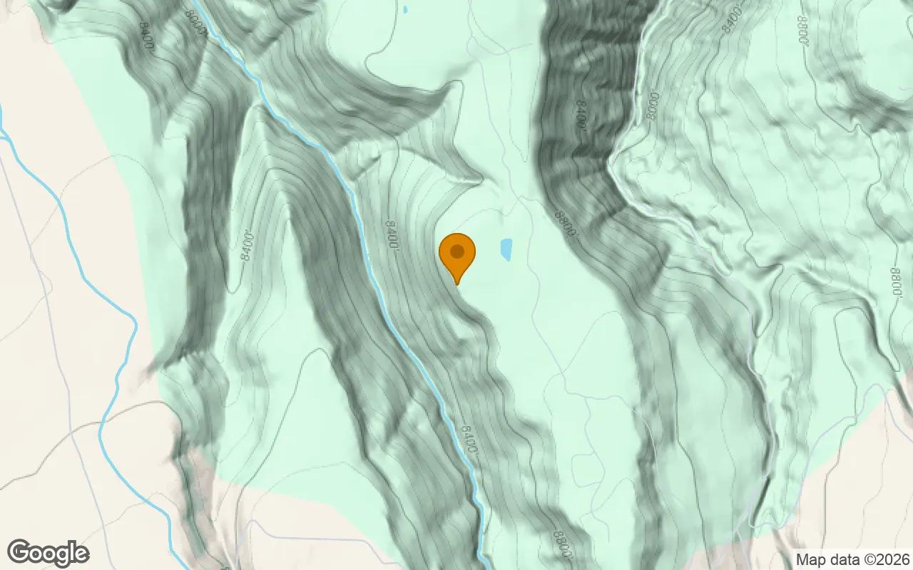 Decorative background for 35 Acres in Placerville - San Miguel County, CO image 5