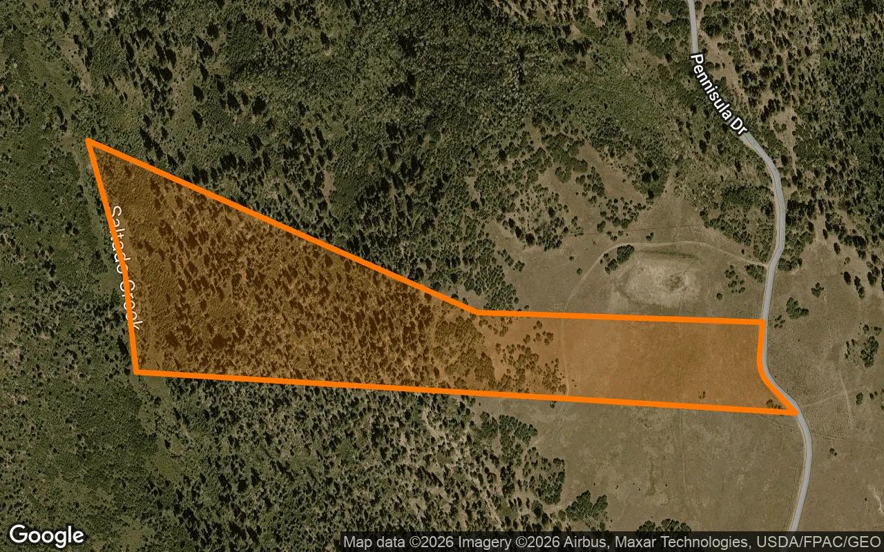 Decorative background for 35 Acres in Placerville - San Miguel County, CO image 6