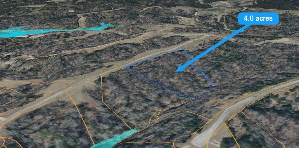 4-ACRE WOODED HOMESITE WITH SEPARATE 0.09-ACRE LAKE-ACCESS PARCEL GATED LEGACY SHORES – ALBERTA, ALABAMA in Wilcox County, AL