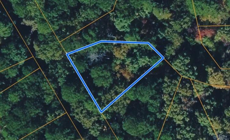 ASILO WAY, HOT SPRINGS VILLAGE, AR 71909 - Image 4