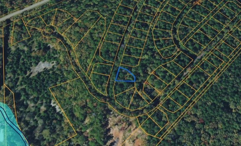 ASILO WAY, HOT SPRINGS VILLAGE, AR 71909 - Image 3