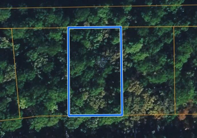 AFRENTA WAY, HOT SPRINGS VILLAGE, AR 71909 - Image 4