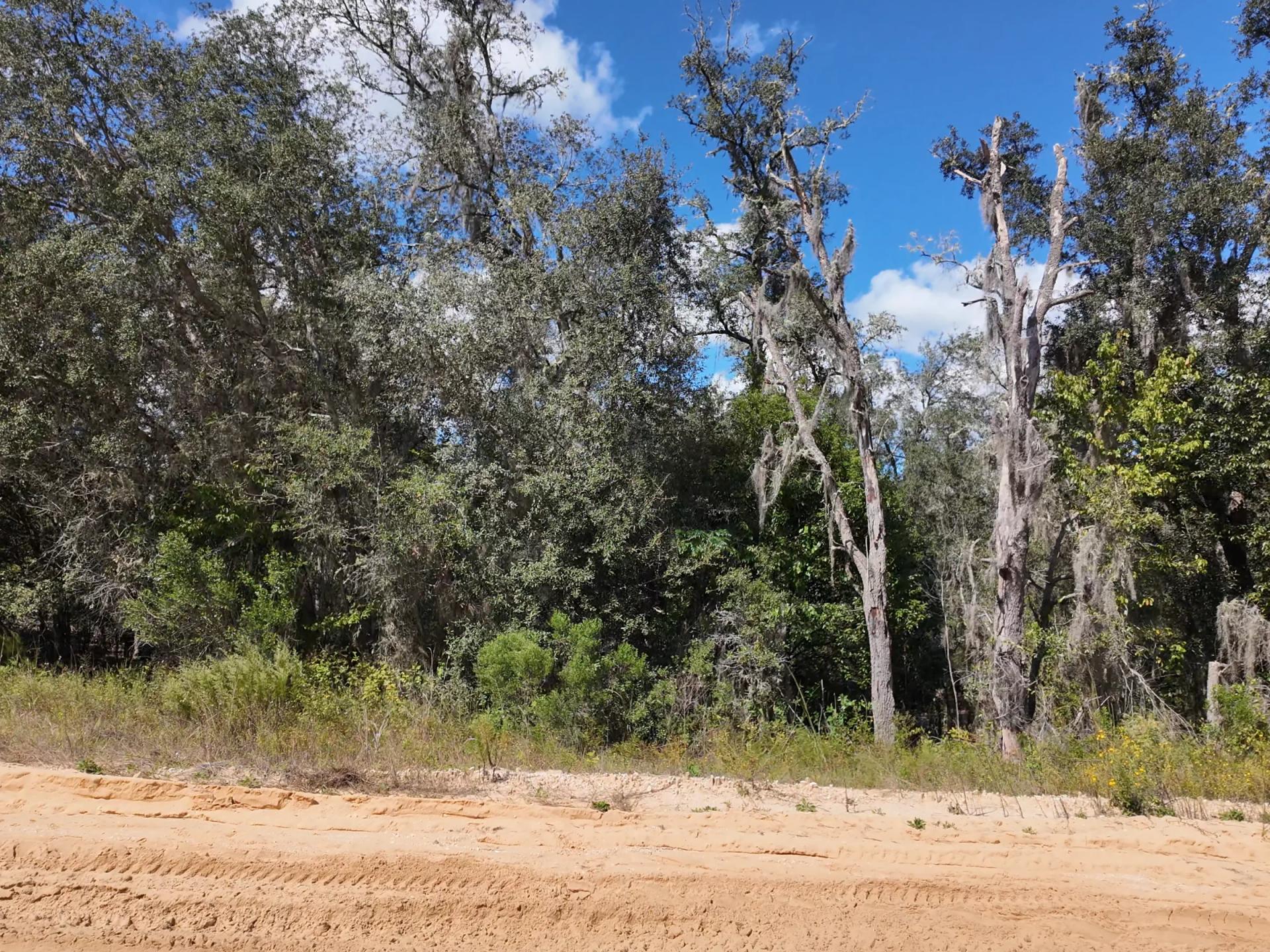 Decorative background for Your Florida Land for Less Than a Car Payment? 0.29 Acres for $249/Mo image 5
