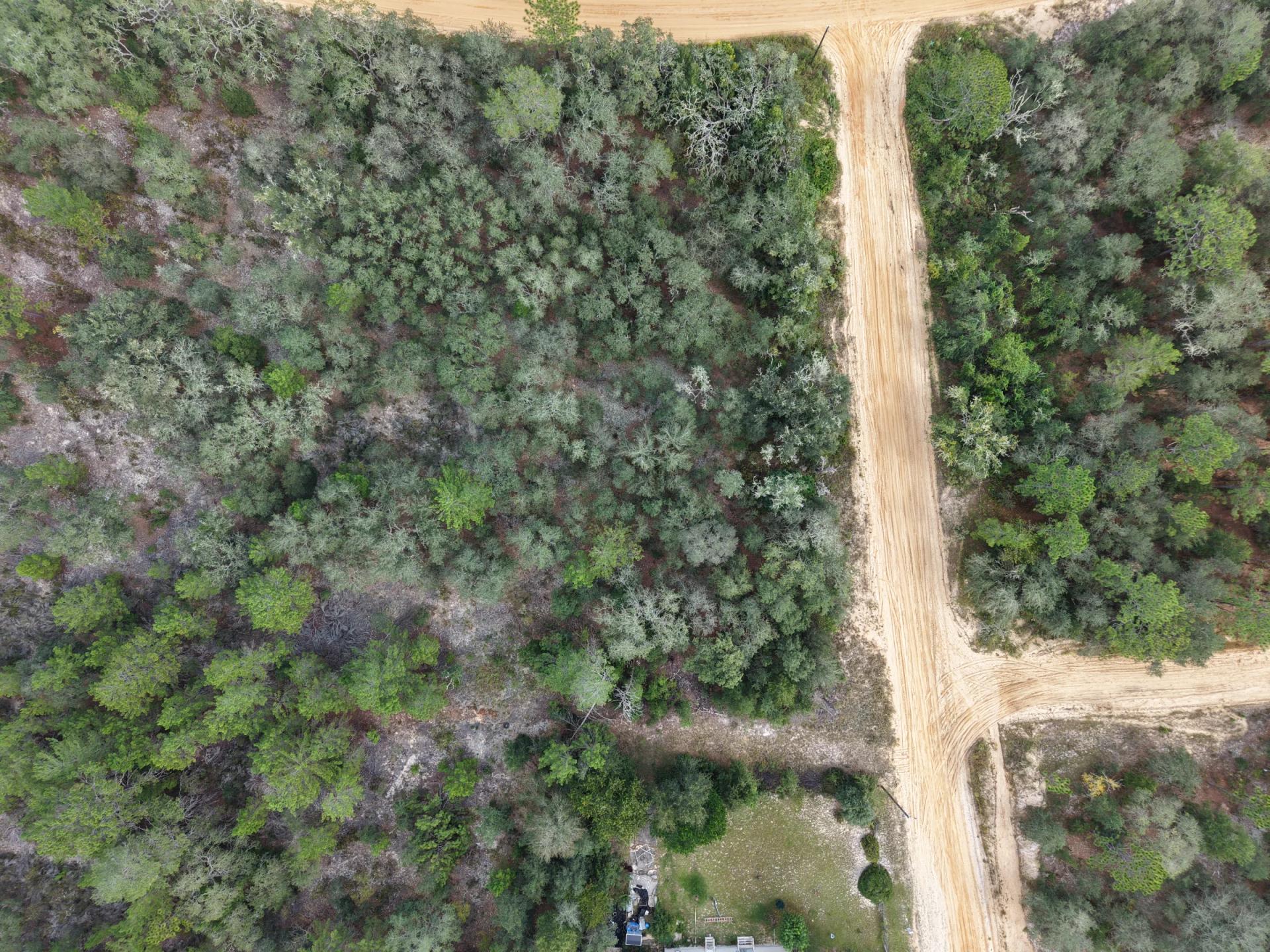 Decorative background for Your Florida Land for Less Than a Car Payment? 0.29 Acres for $249/Mo image 6