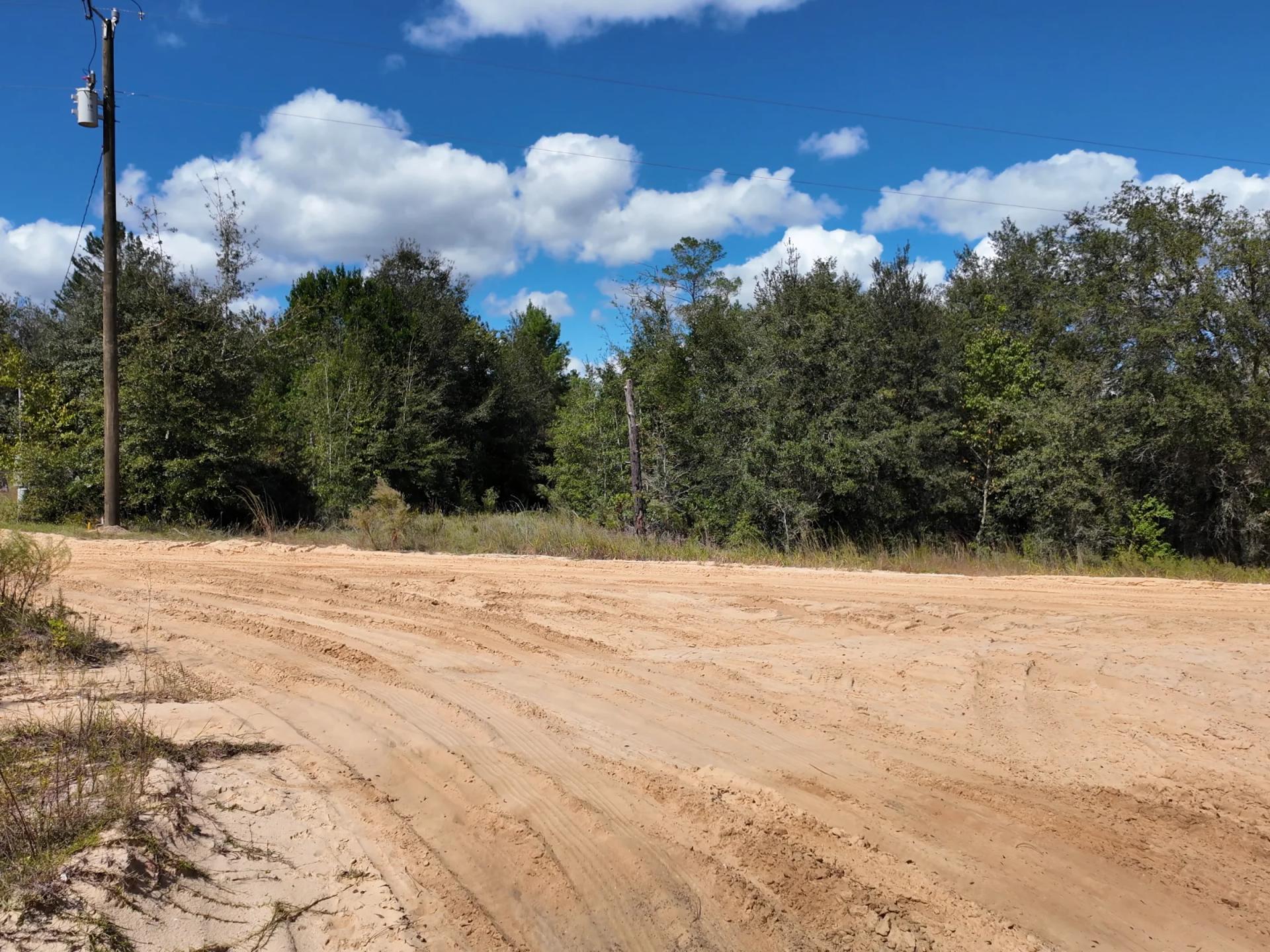 Decorative background for Your Florida Land for Less Than a Car Payment? 0.29 Acres for $249/Mo image 7