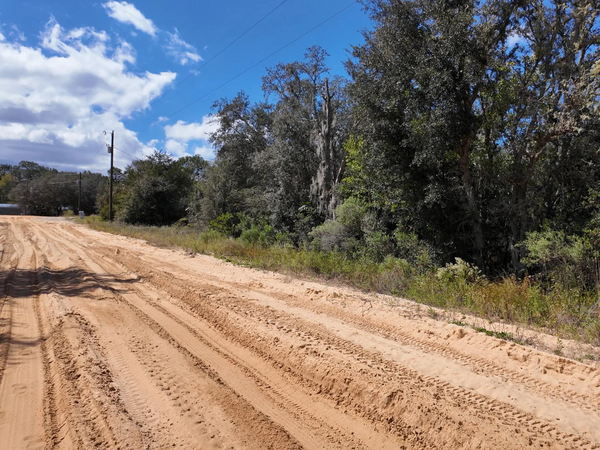 Decorative background for Your Florida Land for Less Than a Car Payment? 0.29 Acres for $249/Mo image 8