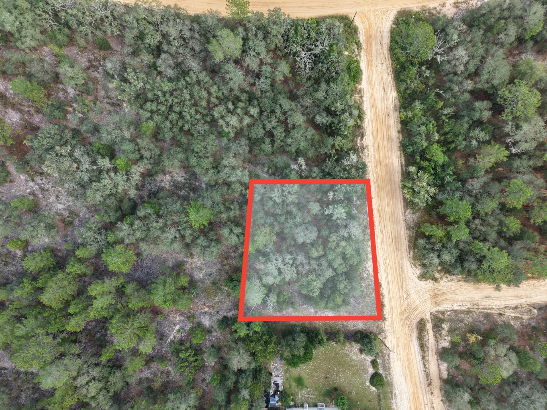 Decorative background for Your Florida Land for Less Than a Car Payment? 0.29 Acres for $249/Mo image 9